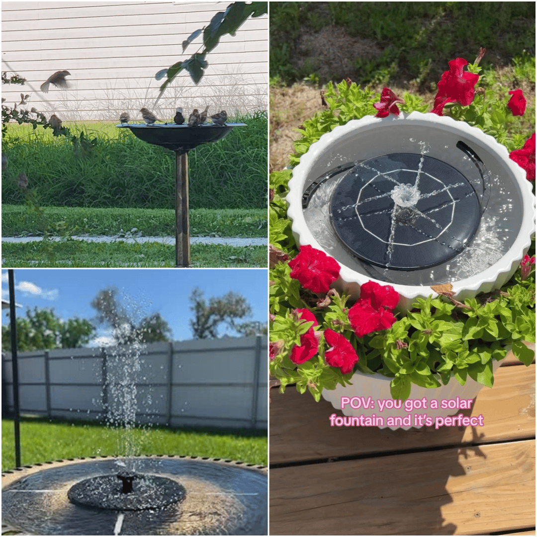LAST DAY 70% OFF🔥Solar-Powered Bird Fountain Kit🐦️